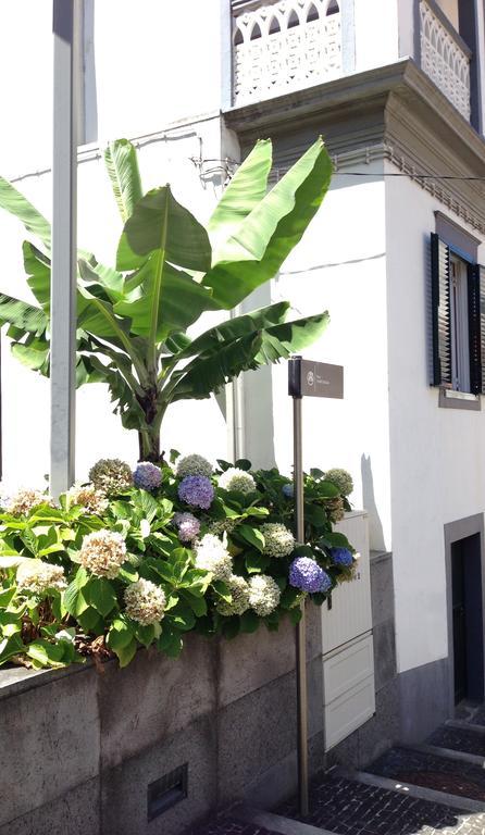 Holidays Madeira Сан-Висенти Экстерьер фото