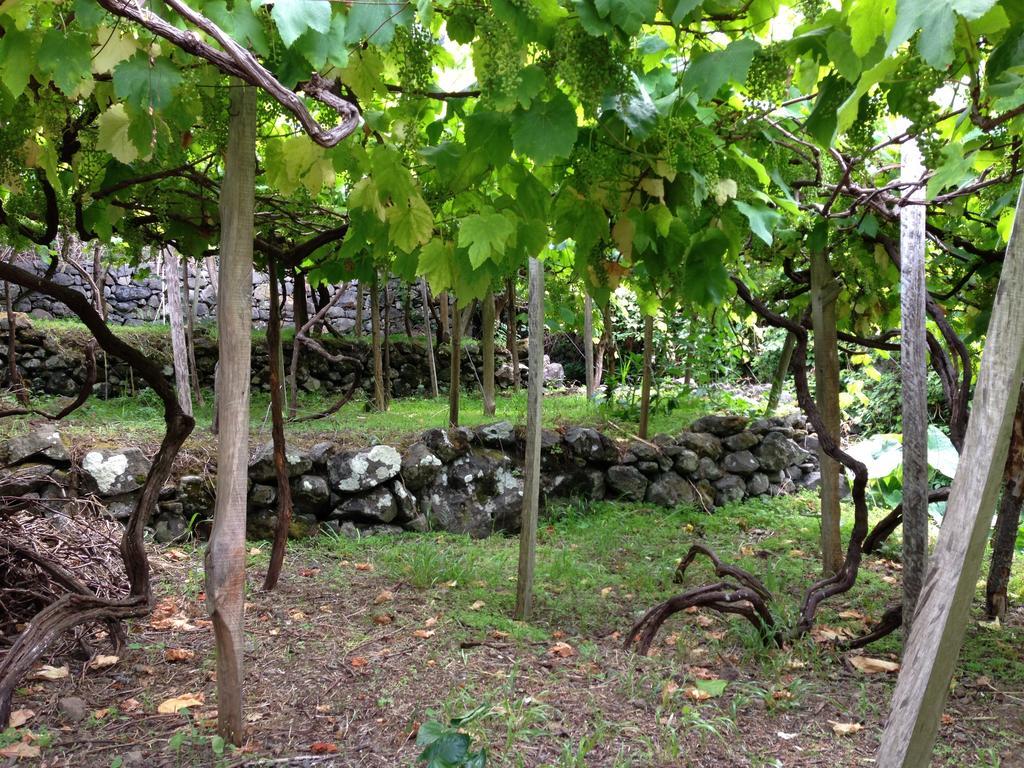 Holidays Madeira Сан-Висенти Экстерьер фото